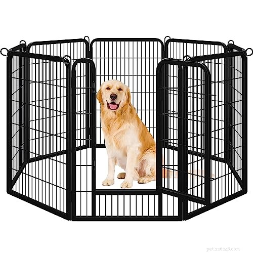 Create a Safe Puppy Play Pen: Pro Trainer s Step-by-Step Guide