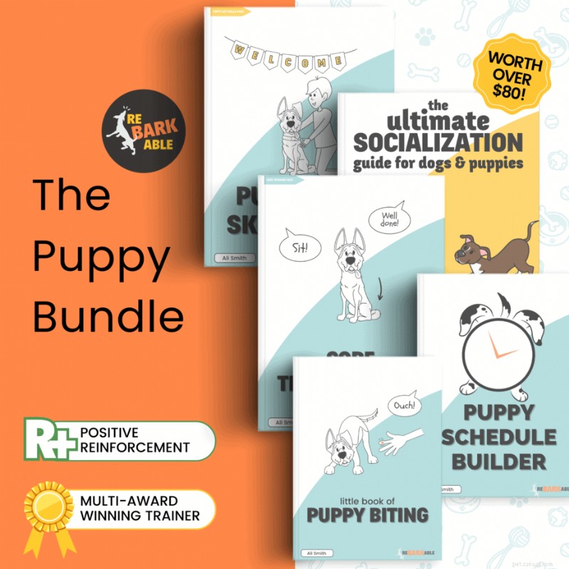 Create a Safe Puppy Play Pen: Pro Trainer s Step-by-Step Guide