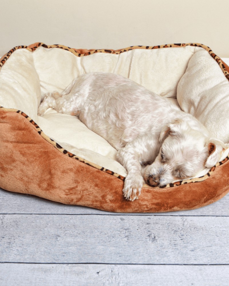 The Ultimate Guide: How Much Sleep Puppies Really Need