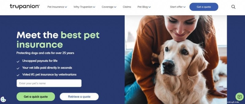 Top 7 Dog Insurance Plans 2026: Best Coverage & Value for Your Canine