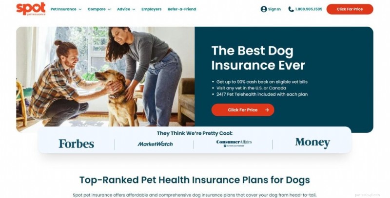 Top 7 Dog Insurance Plans 2026: Best Coverage & Value for Your Canine