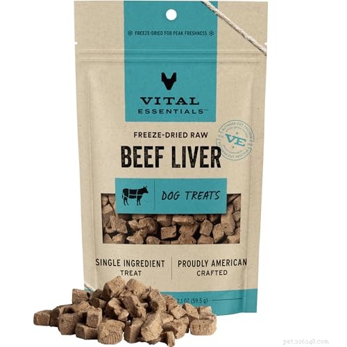 Puppy Not Food-Motivated? Master Positive Reinforcement Without Treats