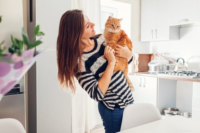 Do Cats Truly Understand Human Language? Expert Insights and Key Findings