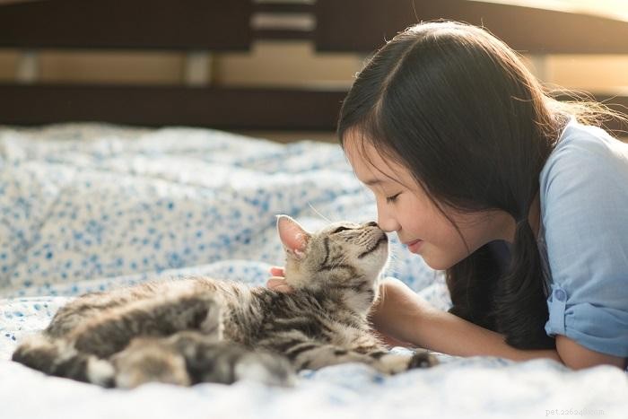 Do Cats Truly Miss Their Owners? Understanding Feline Attachment