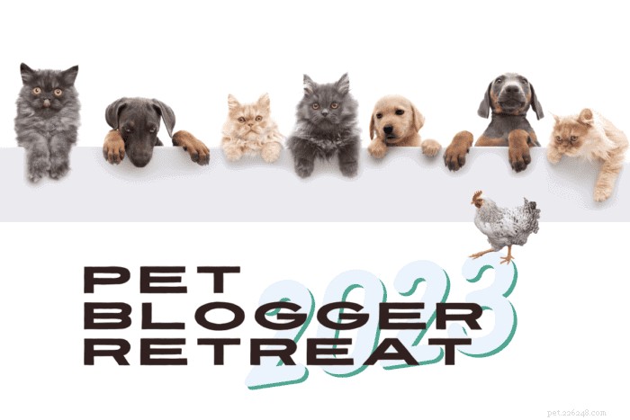 Exclusive Pet Blogger Retreat: Elevate Your Pet Content & Monetization