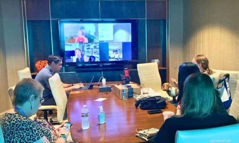 Exclusive Pet Blogger Retreat: Elevate Your Pet Content & Monetization