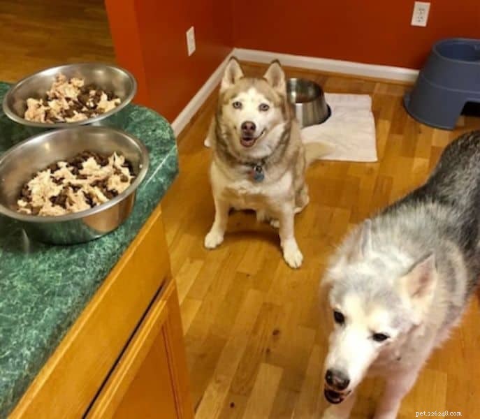 The Ultimate Guide to Boiling Tender Chicken for Your Dog