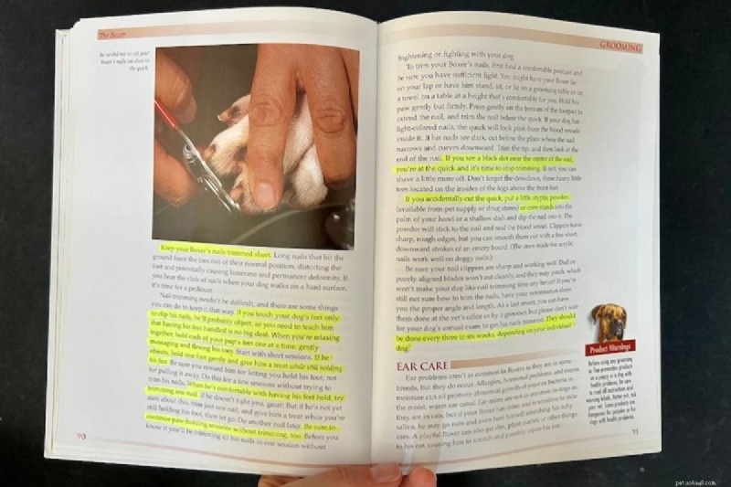 When to Trim Your New Puppy’s Nails: A First-Time Owner’s Guide