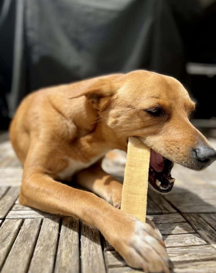 Are Himalayan Chews Safe for Dogs? Expert Insights & Safety Tips