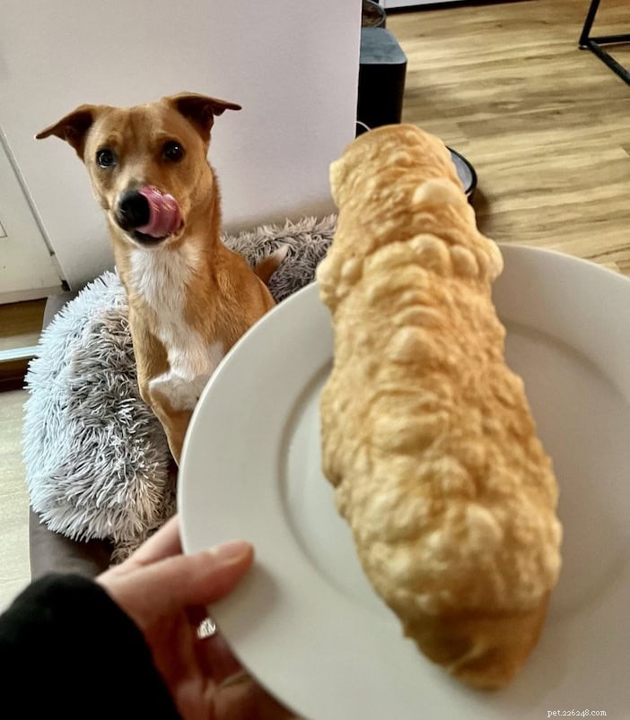 Are Himalayan Chews Safe for Dogs? Expert Insights & Safety Tips