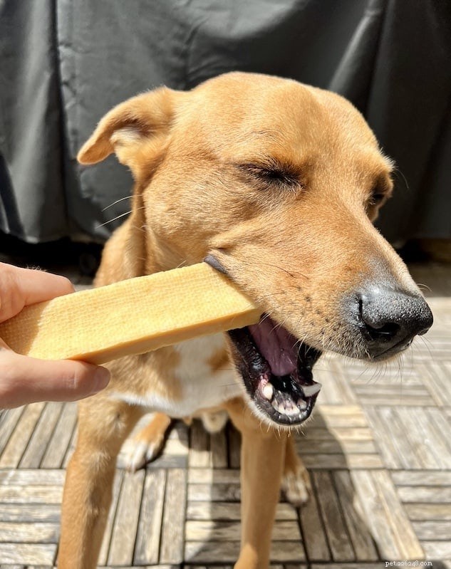 Are Himalayan Chews Safe for Dogs? Expert Insights & Safety Tips