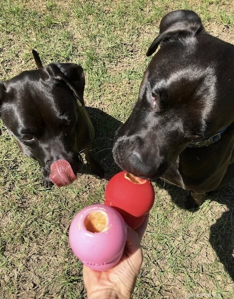Top Dog-Friendly Alternatives to Tennis Balls