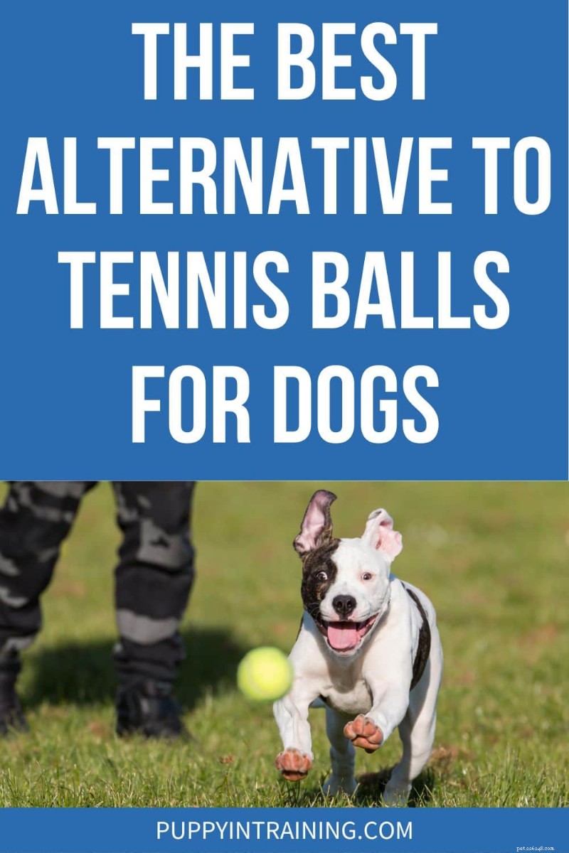 Top Dog-Friendly Alternatives to Tennis Balls