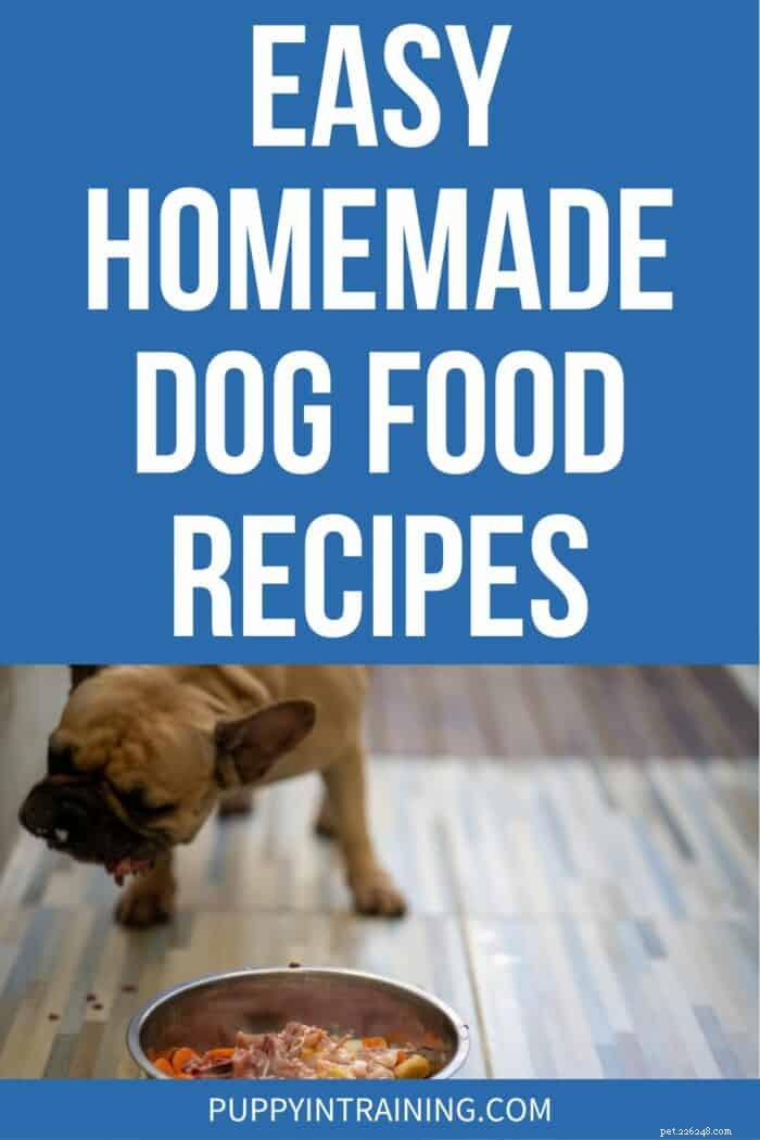 Simple & Balanced Homemade Dog Food Recipes for Healthy Pups