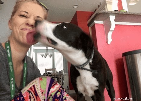 How to Communicate Love to Your Dog in Its Own Language