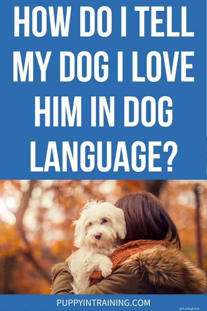How to Communicate Love to Your Dog in Its Own Language