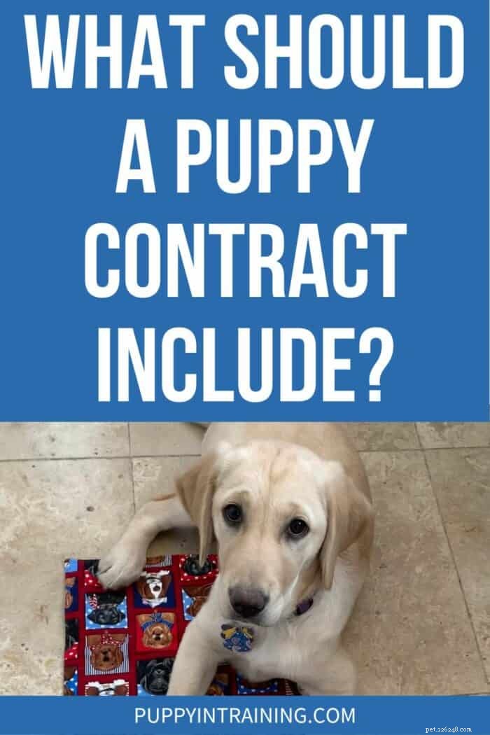 Essential Elements of a Puppy Contract: What You Need to Know