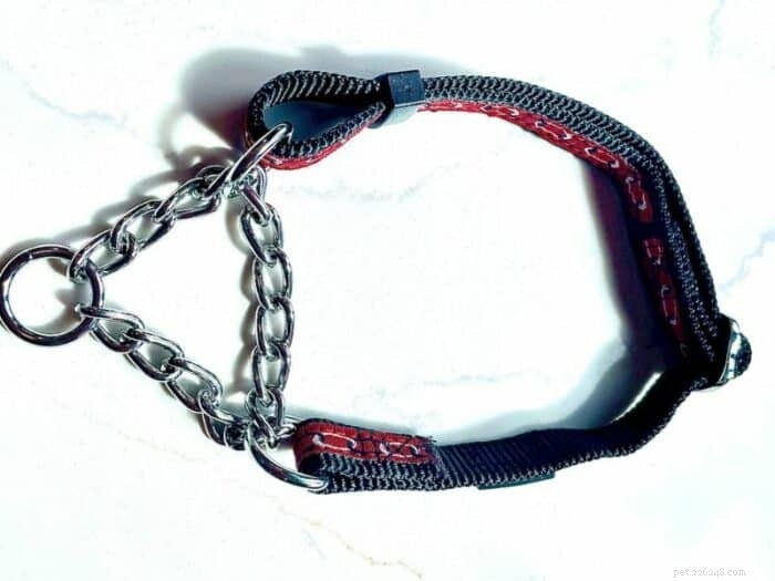 Master Your Dog’s Training with a Martingale Collar: Expert Tips & Safety Guide