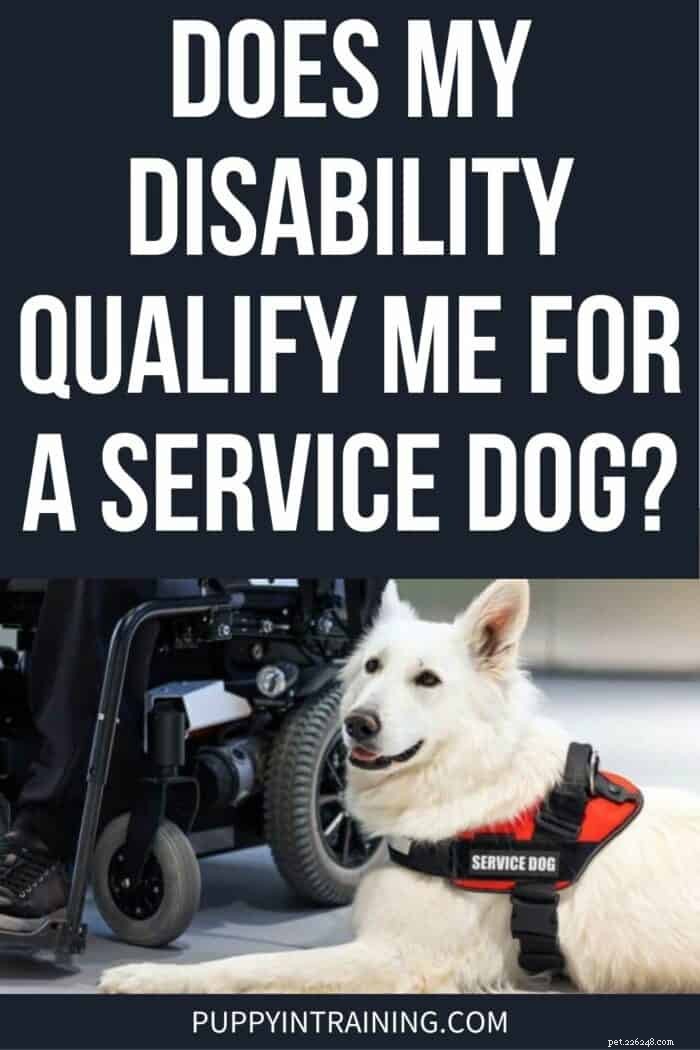 Do I Qualify for a Service Dog? Your Comprehensive Eligibility Guide