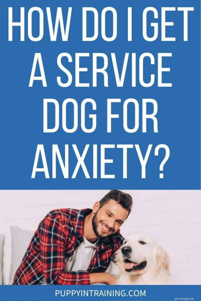 How to Get a Service Dog for Anxiety & Depression: Steps, Benefits & Resources