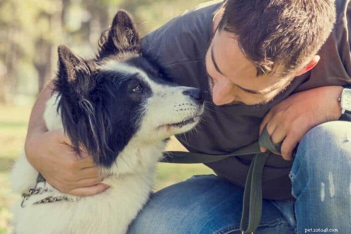 Discover the Best Dog Names Beginning with D – Curated Inspiration List