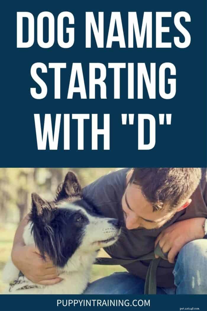 Discover the Best Dog Names Beginning with D – Curated Inspiration List