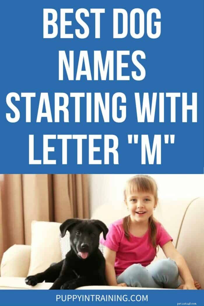 Ultimate Guide to the Best Dog Names Starting with M