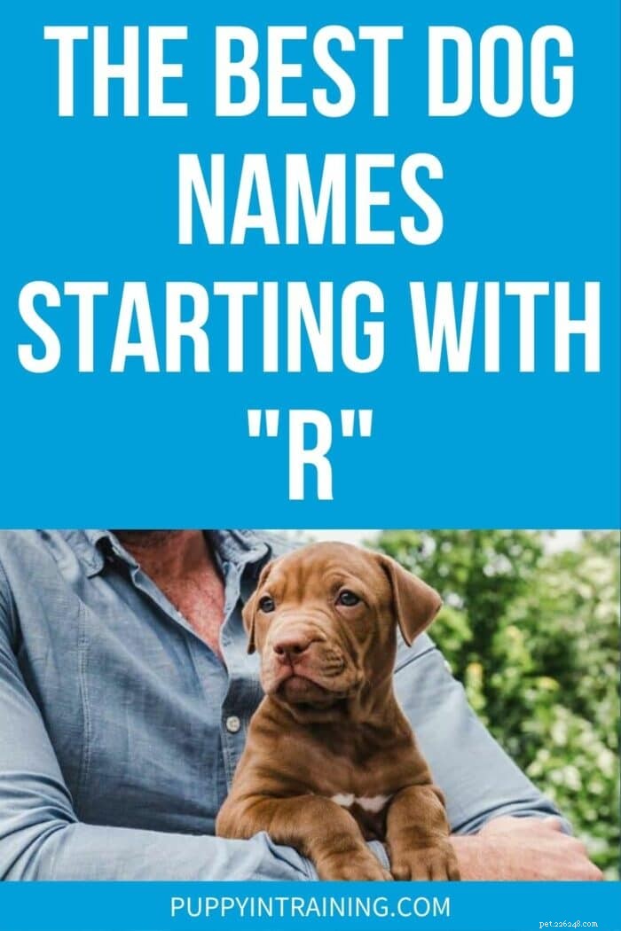 Top R Dog Names: Find the Perfect Fit for Your New Puppy
