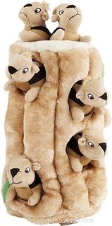 Top 8 Interactive Toys That Keep Your Puppy Mentally Engaged