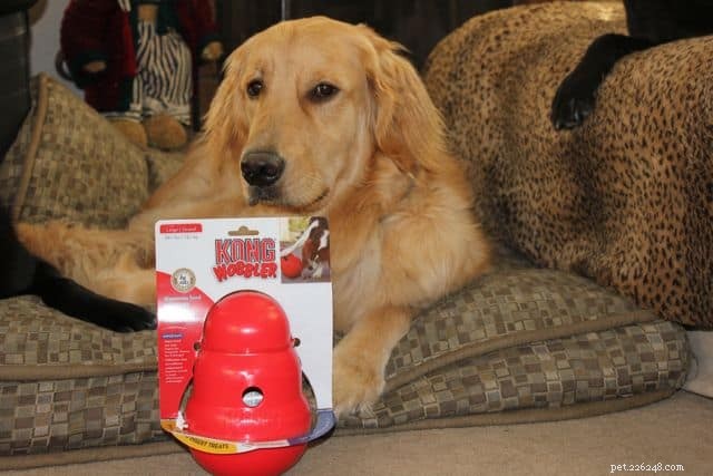 KONG Wobbler Dog Toy: A Comprehensive Review for Slow Feeding and Mental Stimulation