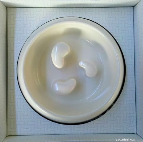 Martha Stewart Pets Slow Feeder Bowl Review: Improve Your Dog’s Eating Habits