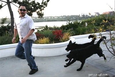Dogs vs Humans: Who Is Faster? A Clear Comparison