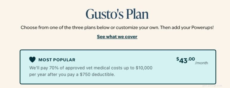 How to Secure Pet Insurance for Your Rescue Dog