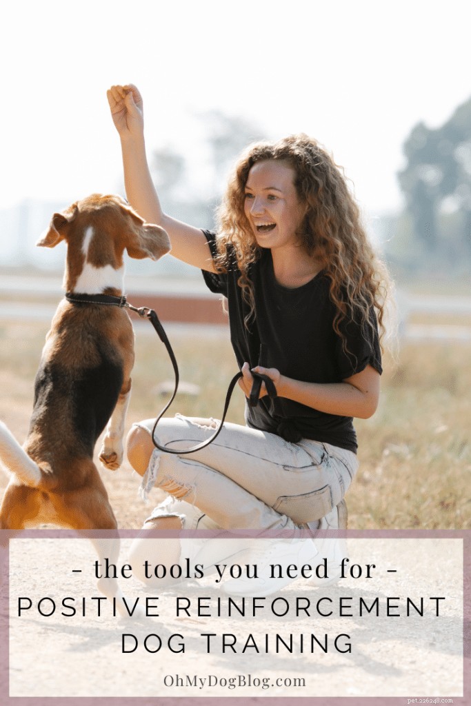 Top Positive Reinforcement Tools for Effective Dog Training