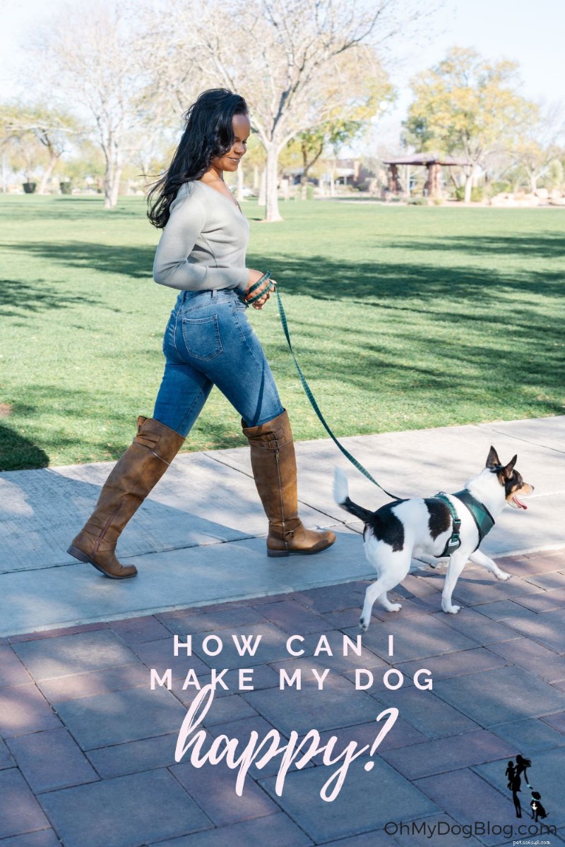10 Proven Ways to Keep Your Dog Happy and Healthy