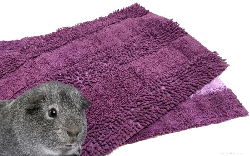 Choosing Chenille Bath Mats for Guinea Pigs: Benefits, Drawbacks, and Care Tips
