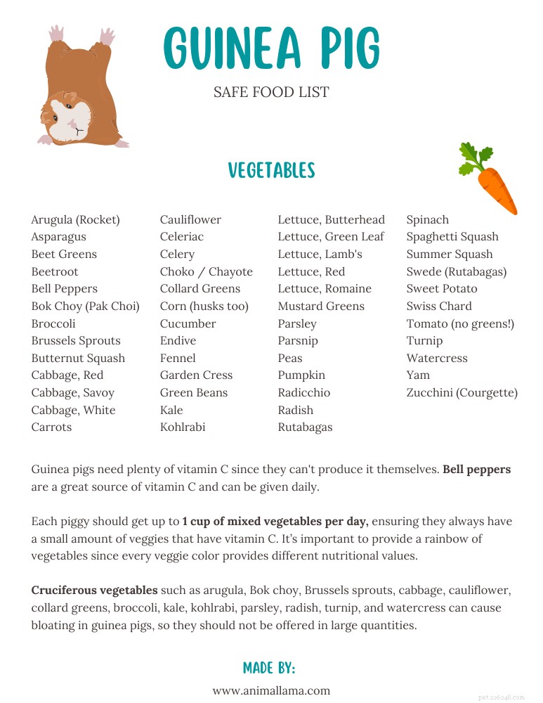 Essential Fresh Food Guide for Guinea Pigs: Safe Vegetables, Fruits & Herbs