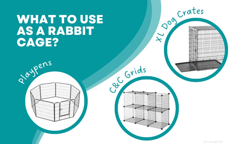 The Ideal Indoor Rabbit Cage: Why Pet Store Options Fall Short