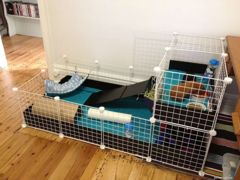 Compact Guinea Pig Housing: 6 Proven Space‑Saving Cage Solutions