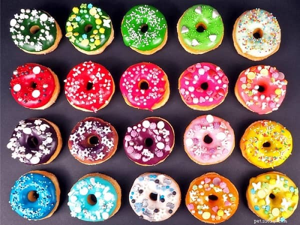 Are Donuts Safe for Cats? Expert Advice on Feeding Felines Sweet Treats