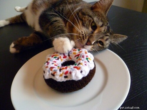 Are Donuts Safe for Cats? Expert Advice on Feeding Felines Sweet Treats