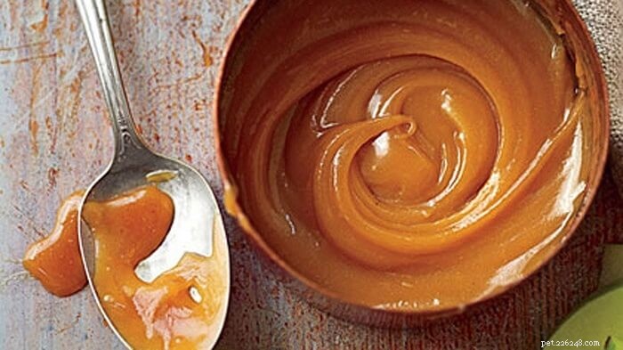 Is It Safe to Feed Your Cat Caramel? Vet Insights