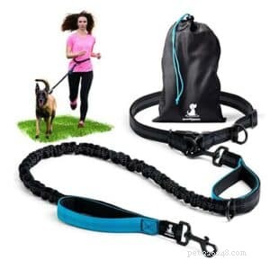 Rough Collies: The Ideal Running Companion for Agility, Stamina, and Smart Work Ethic