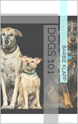 Aromatherapy & Pet Care: Essential Tips for New Dog & Cat Owners
