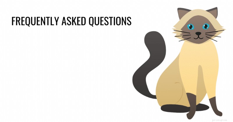 Long‑Haired Snowshoe Siamese: Characteristics, Care & Grooming Guide