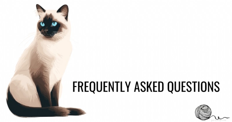 Ultimate Guide to Caring for Senior Oriental Siamese Cats: Health & Comfort Tips