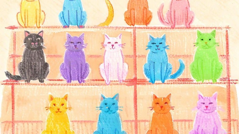 The Evolution of Cat Coat Colors: A Quick Scientific Guide