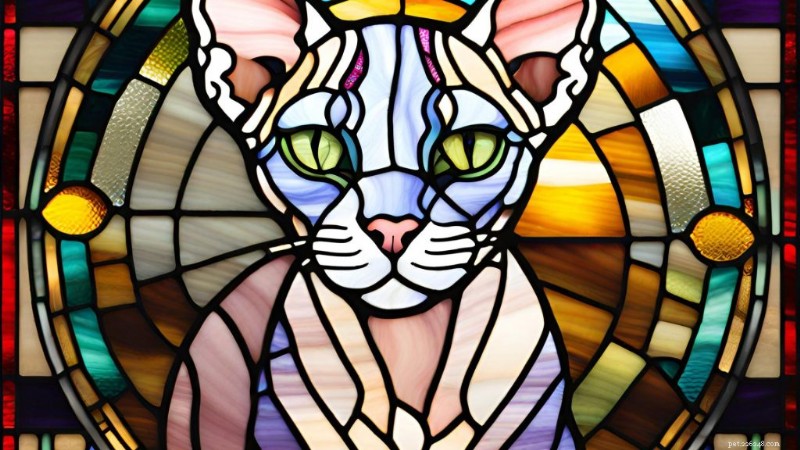 Lavender Sphynx Cat: Discover the Stunning Hairless Breed in Unique Lavender Tones