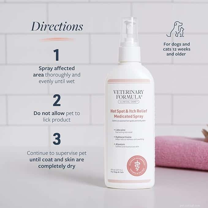Top Anti‑Itch Spray for Cats: Trusted Relief for Sensitive Skin