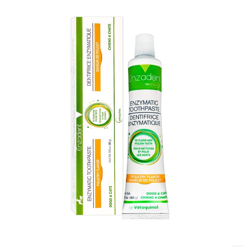 Top Cat Toothpaste for Healthy Teeth & Gums – Expert Guide